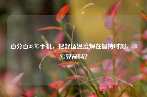 百分百38℃手机,把舒适温度焊在握持时刻,38℃算高吗?