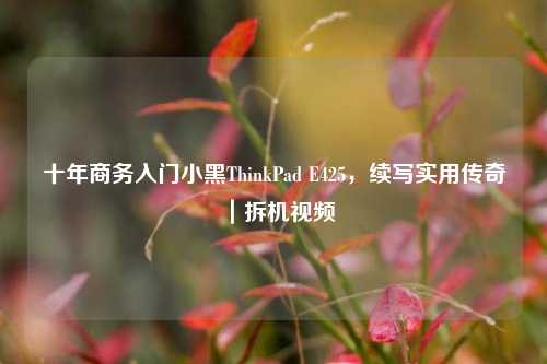 十年商务入门小黑ThinkPad E425，续写实用传奇｜拆机视频