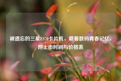 被遗忘的三星ES70卡片机,藏着数码青春记忆,附上市时间与价格表