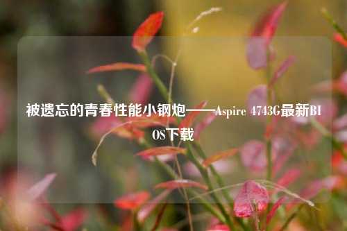 被遗忘的青春性能小钢炮——Aspire 4743G最新BIOS下载