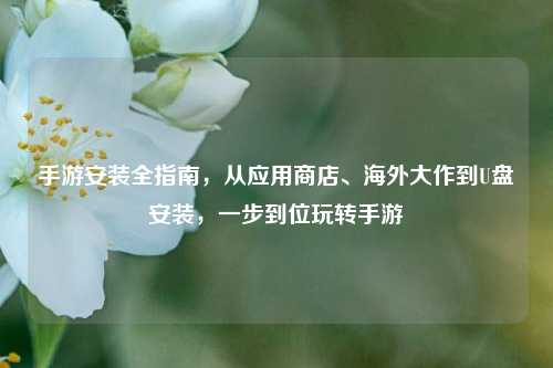 手游安装全指南，从应用商店、海外大作到U盘安装，一步到位玩转手游