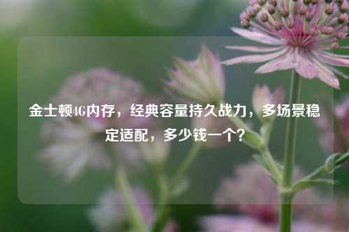 金士顿4G内存，经典容量持久战力，多场景稳定适配，多少钱一个？