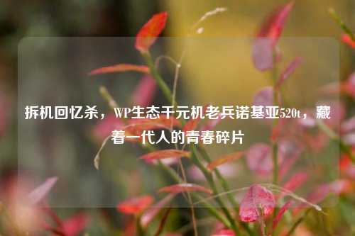 拆机回忆杀，WP生态千元机老兵诺基亚520t，藏着一代人的青春碎片