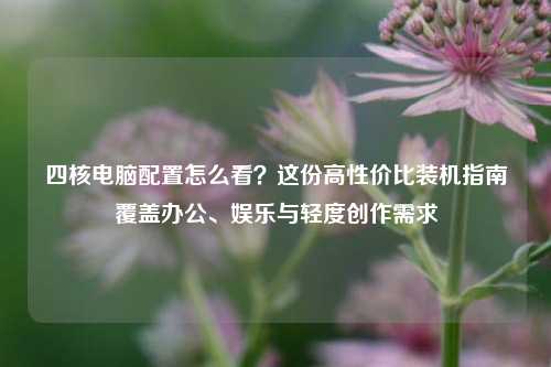 四核电脑配置怎么看?这份高性价比装机指南覆盖办公、娱乐与轻度创作需求