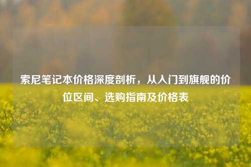 索尼笔记本价格深度剖析，从入门到旗舰的价位区间、选购指南及价格表