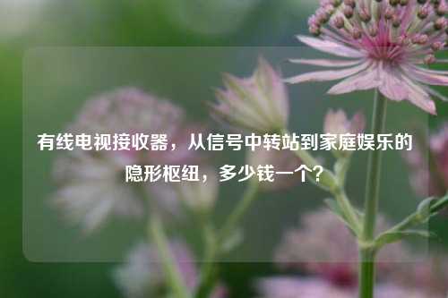有线电视接收器，从信号中转站到家庭娱乐的隐形枢纽，多少钱一个？