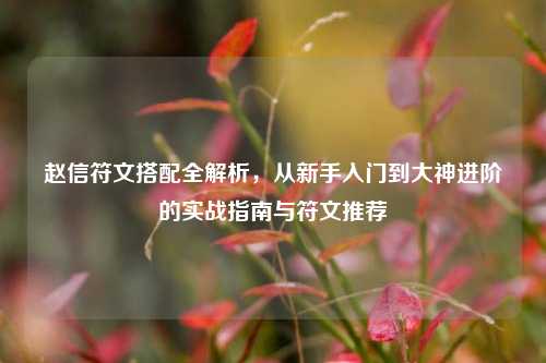 赵信符文搭配全解析，从新手入门到大神进阶的实战指南与符文推荐