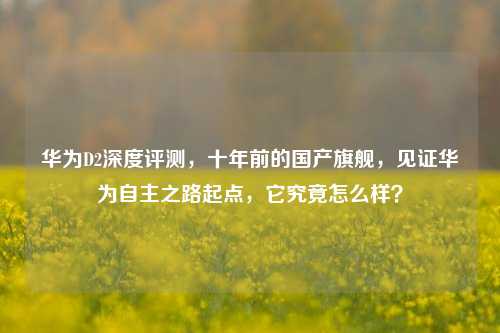 华为D2深度评测，十年前的国产旗舰，见证华为自主之路起点，它究竟怎么样？