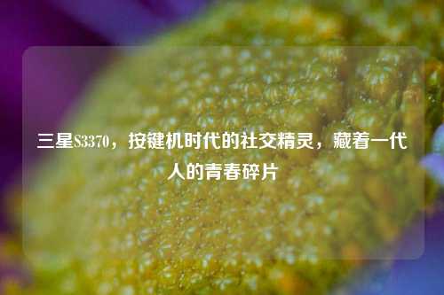 三星S3370，按键机时代的社交精灵，藏着一代人的青春碎片
