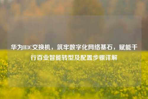 华为H3C交换机,筑牢数字化网络基石,赋能千行百业智能转型及配置步骤详解