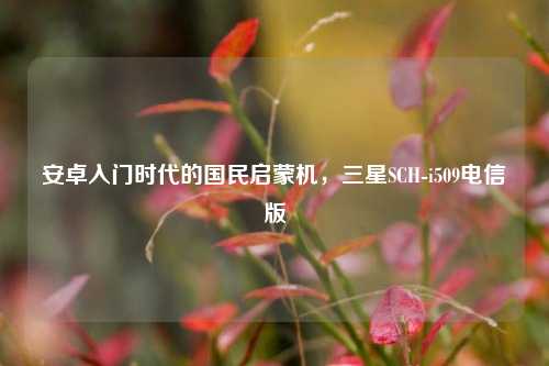 安卓入门时代的国民启蒙机,三星SCH-i509电信版