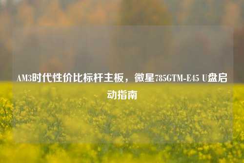 AM3时代性价比标杆主板,微星785GTM-E45 U盘启动指南