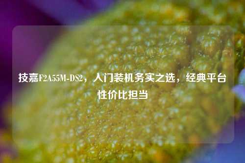 技嘉F2A55M-DS2，入门装机务实之选，经典平台性价比担当
