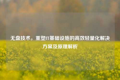 无盘技术，重塑IT基础设施的高效轻量化解决方案及原理解析