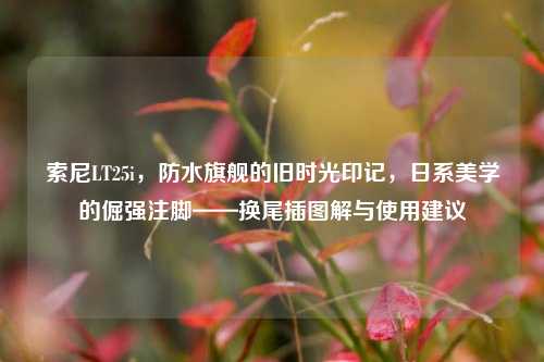 索尼LT25i,防水旗舰的旧时光印记,日系美学的倔强注脚——换尾插图解与使用建议