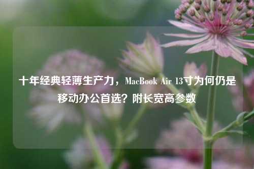 十年经典轻薄生产力，MacBook Air 13寸为何仍是移动办公首选？附长宽高参数