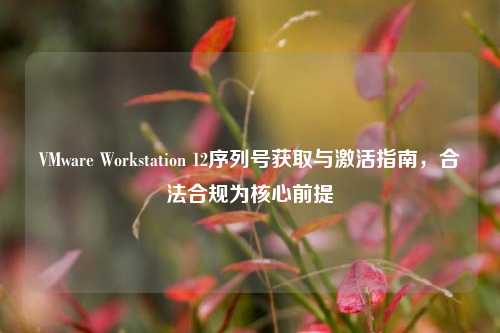 VMware Workstation 12序列号获取与激活指南，合法合规为核心前提