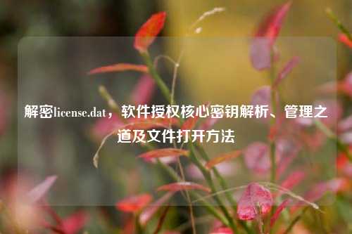 解密license.dat，软件授权核心密钥解析、管理之道及文件打开方法