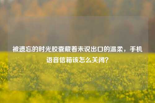 被遗忘的时光胶囊藏着未说出口的温柔,手机语音信箱该怎么关闭?