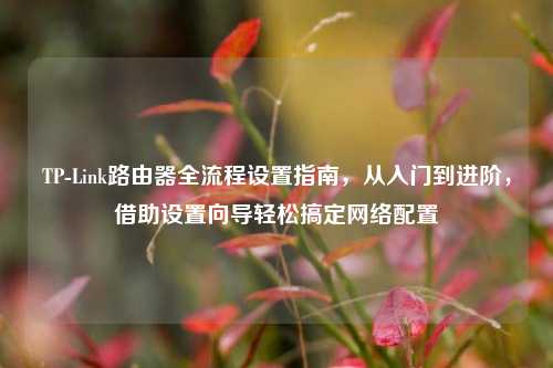 TP-Link路由器全流程设置指南，从入门到进阶，借助设置向导轻松搞定网络配置