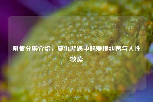 剧情分集介绍,复仇漩涡中的爱恨纠葛与人性救赎