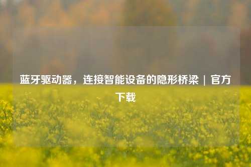 蓝牙驱动器，连接智能设备的隐形桥梁 | 官方下载