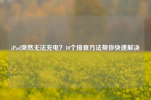 iPad突然无法充电？10个排查方法帮你快速解决