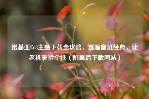 诺基亚E63主题下载全攻略，重温塞班经典，让老机重拾个性（附靠谱下载网站）
