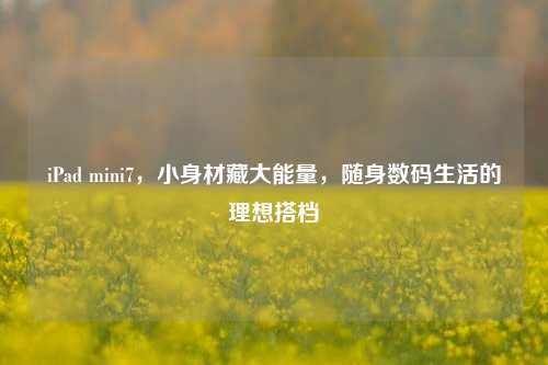 iPad mini7,小身材藏大能量,随身数码生活的理想搭档