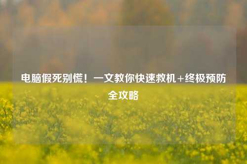 电脑假死别慌！一文教你快速救机+终极预防全攻略