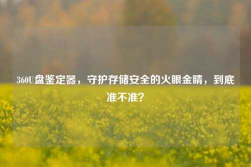 360U盘鉴定器,守护存储安全的火眼金睛,到底准不准?