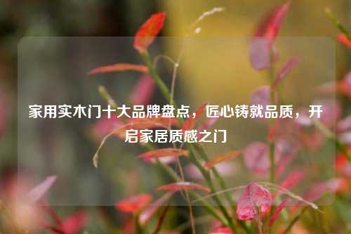 家用实木门十大品牌盘点,匠心铸就品质,开启家居质感之门