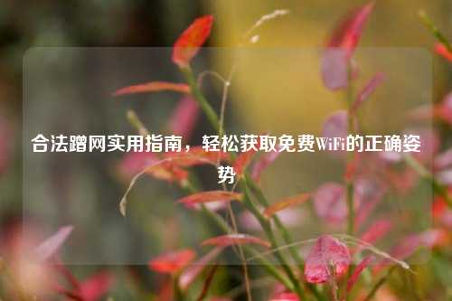 合法蹭网实用指南,轻松获取免费WiFi的正确姿势