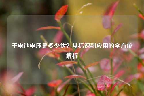 干电池电压是多少伏？从标识到应用的全方位解析