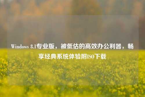 Windows 8.1专业版，被低估的高效办公利器，畅享经典系统体验附ISO下载