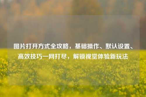 图片打开方式全攻略，基础操作、默认设置、高效技巧一网打尽，解锁视觉体验新玩法