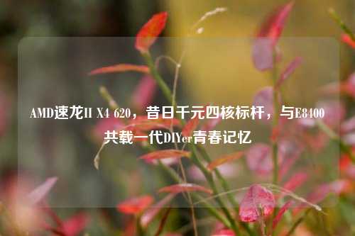 AMD速龙II X4 620,昔日千元四核标杆,与E8400共载一代DIYer青春记忆