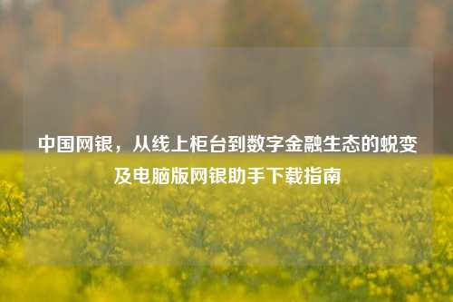 中国网银,从线上柜台到数字金融生态的蜕变及电脑版网银助手下载指南
