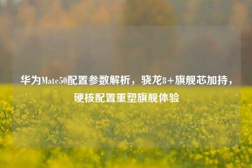 华为Mate50配置参数解析,骁龙8+旗舰芯加持,硬核配置重塑旗舰体验