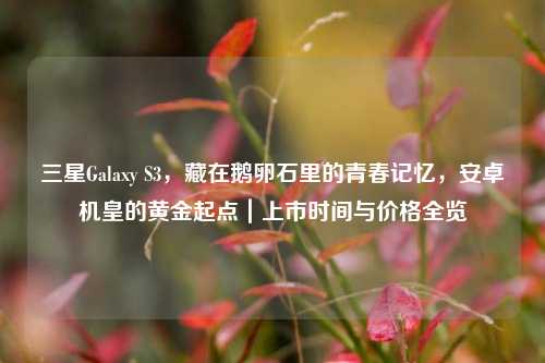 三星Galaxy S3，藏在鹅卵石里的青春记忆，安卓机皇的黄金起点｜上市时间与价格全览