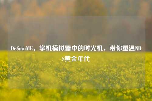 DeSmuME,掌机模拟器中的时光机,带你重温NDS黄金年代