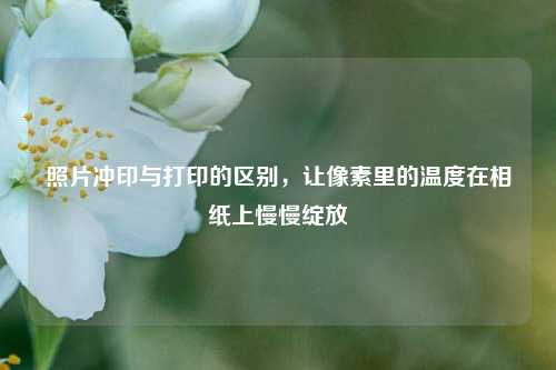 照片冲印与打印的区别,让像素里的温度在相纸上慢慢绽放