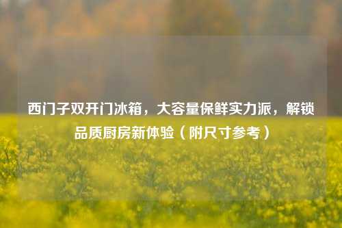 西门子双开门冰箱,大容量保鲜实力派,解锁品质厨房新体验(附尺寸参考)