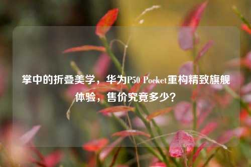掌中的折叠美学，华为P50 Pocket重构精致旗舰体验，售价究竟多少？