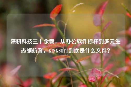 深耕科技三十余载，从办公软件标杆到多元生态领航者，KINGSOFT到底是什么文件？