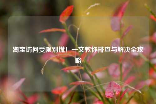 淘宝访问受限别慌!一文教你排查与解决全攻略