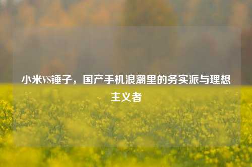 小米VS锤子，国产手机浪潮里的务实派与理想主义者