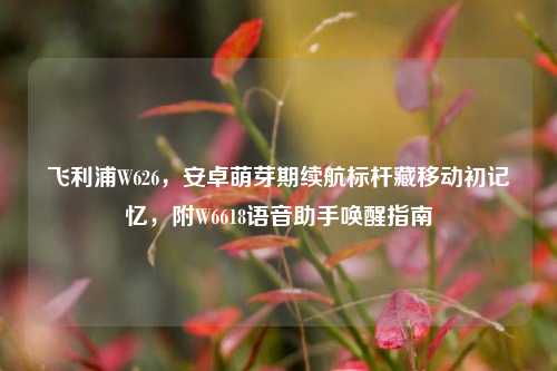飞利浦W626，安卓萌芽期续航标杆藏移动初记忆，附W6618语音助手唤醒指南