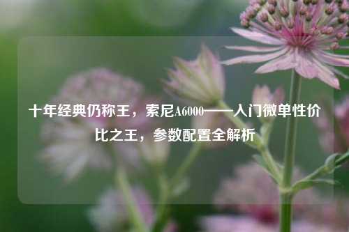 十年经典仍称王，索尼A6000——入门微单性价比之王，参数配置全解析