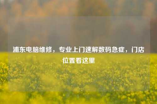 浦东电脑维修，专业上门速解数码急症，门店位置看这里